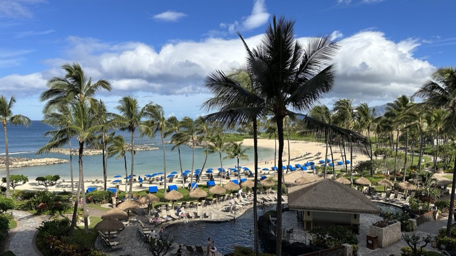 Resort lagoon seen through palm trees, blue umbrellas lining the sand