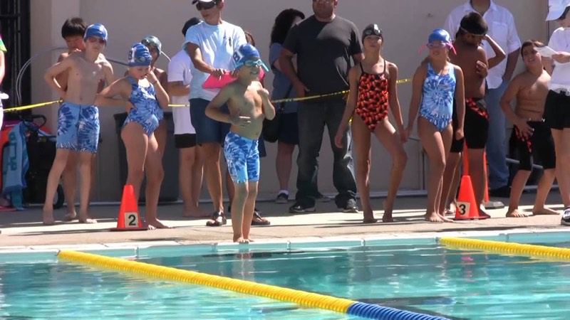 Bluefins versus Treeview swim meet